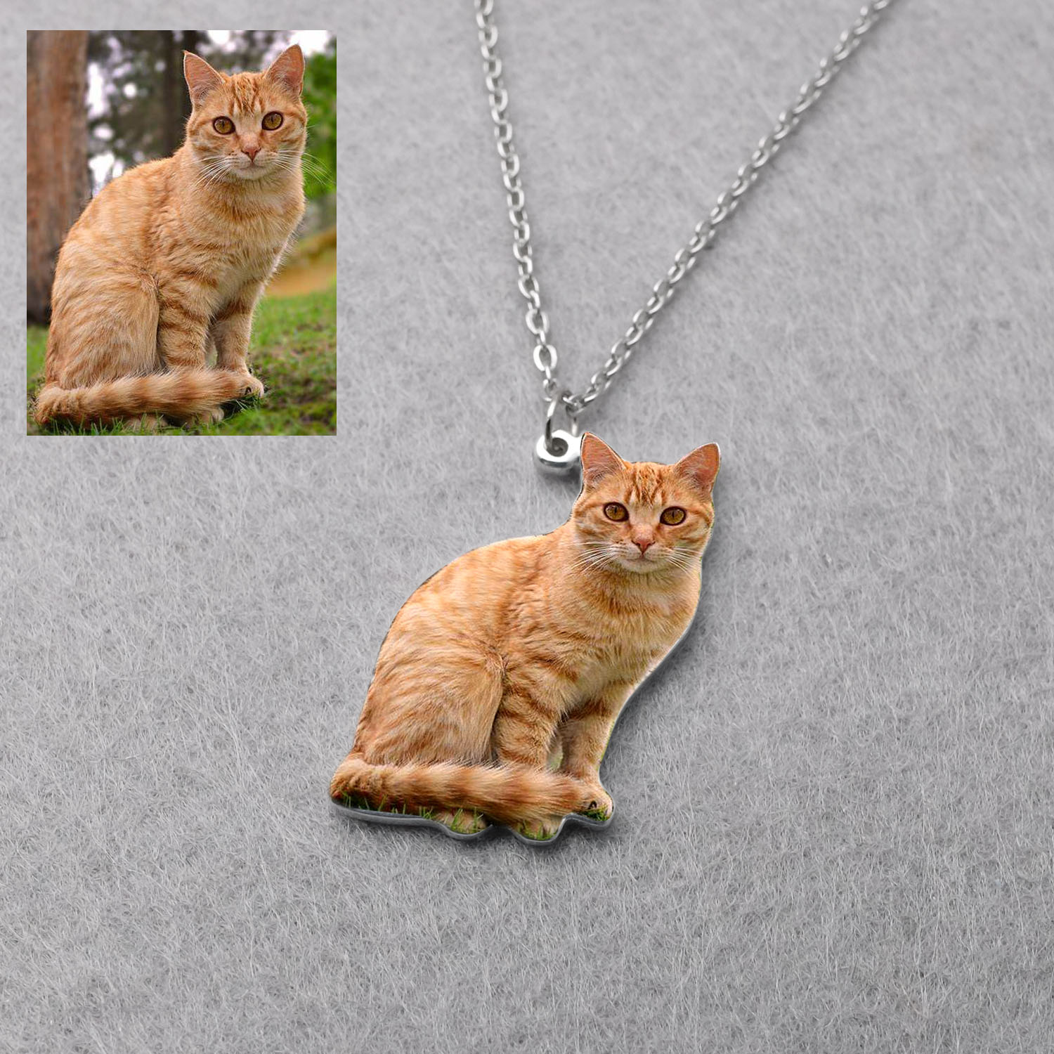 Personalized Pet Picture Neckl - Pet Portrait Custom 评论和价格