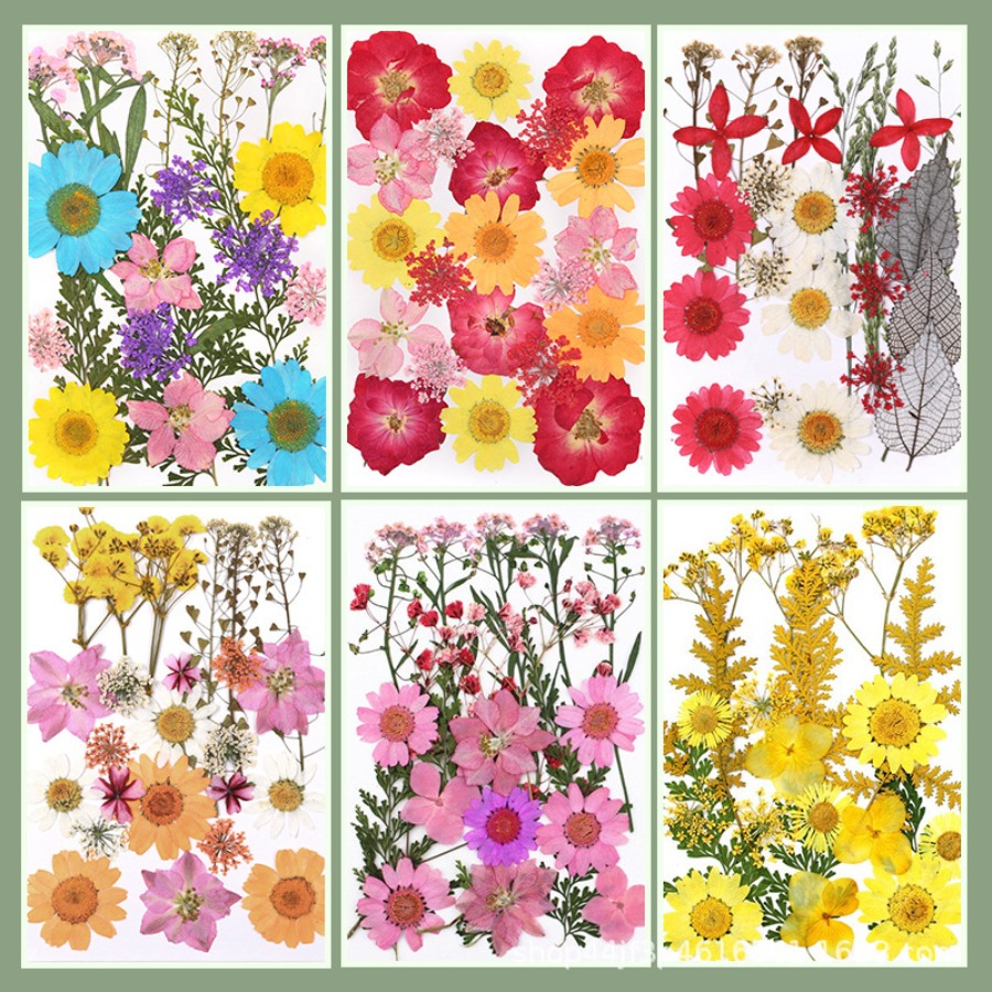 Un-dyed Natural Pressed Dried  - Dried Flower Bookmark 评论和价格