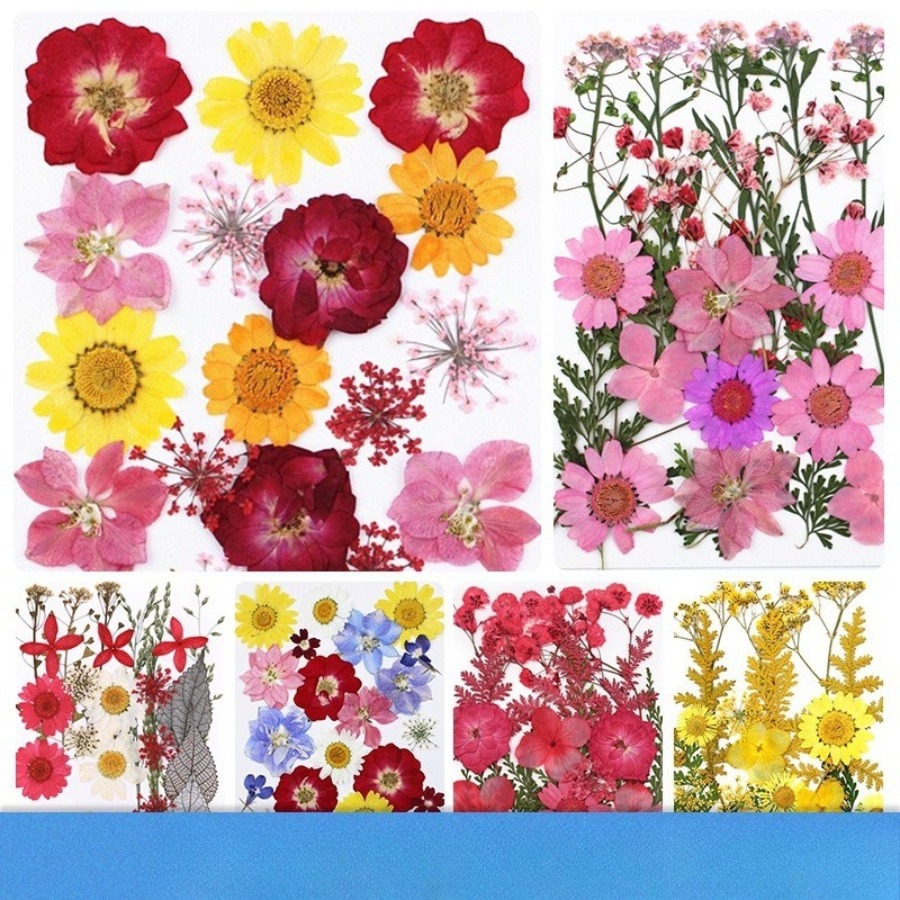 Un-dyed Natural Pressed Dried  - Dried Flower Bookmark 评论和价格