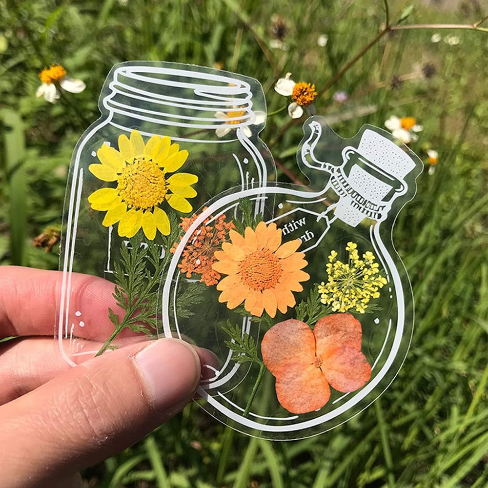 Wishing Bottle Pattern Transpa - Dried Flower Bookmark 评论和价格